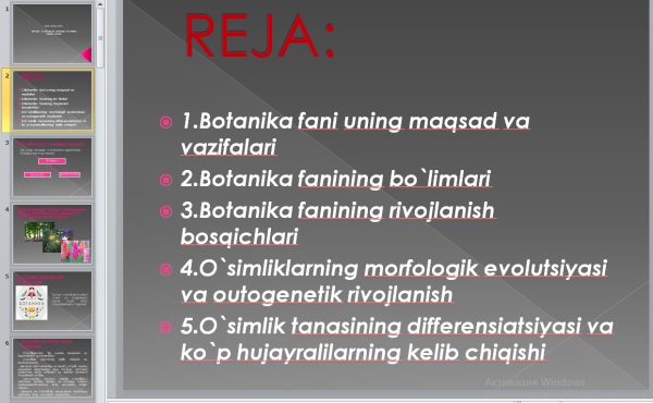 O`SIMLIKLAR DUNYOSI VA UNING  XILMA-XILLIGI. PPT