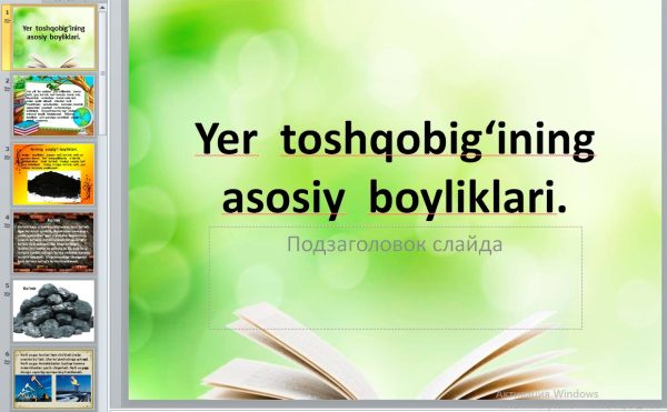 Yer  toshqobig‘ining  asosiy  boyliklari