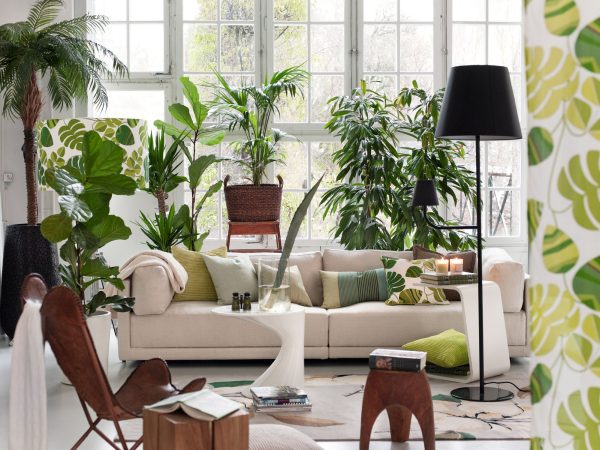 Living plants.ppt